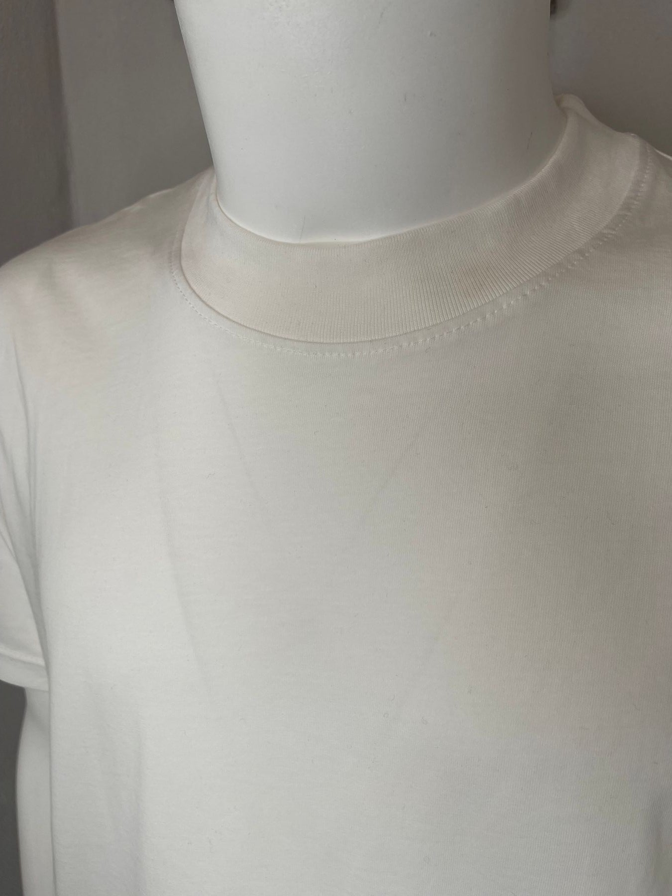 TSHIRTBS22301/PANNA - T-shirt FW24/25 - EMERGING
